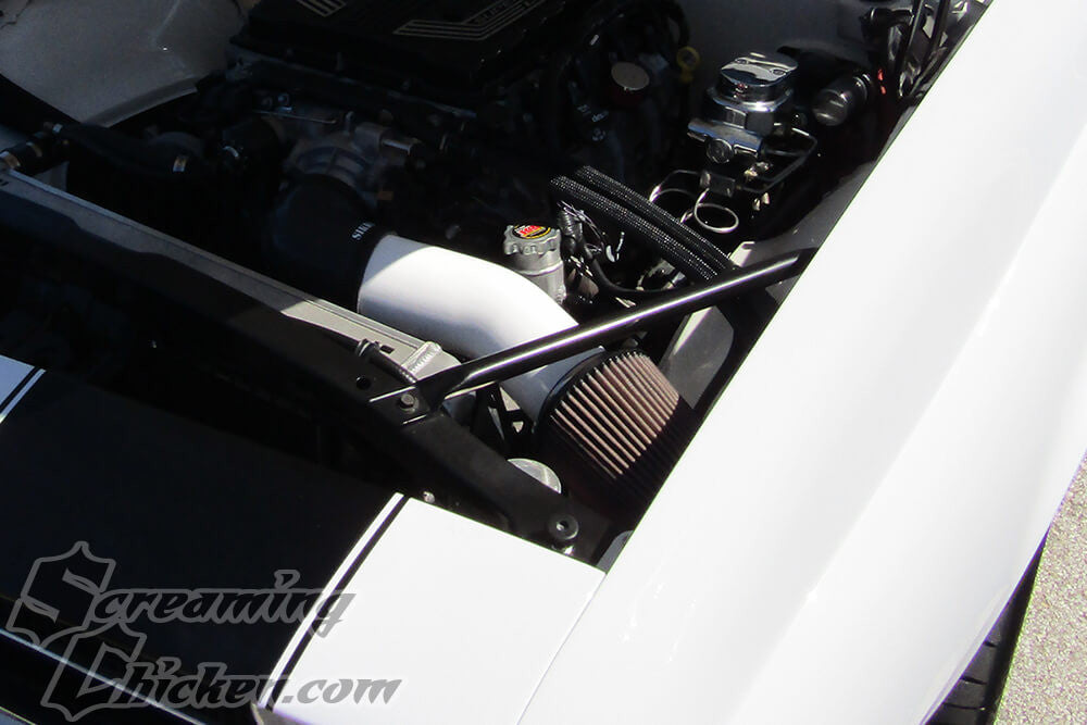 1967-69 Camaro/Firebird Black OE Style Fender Braces