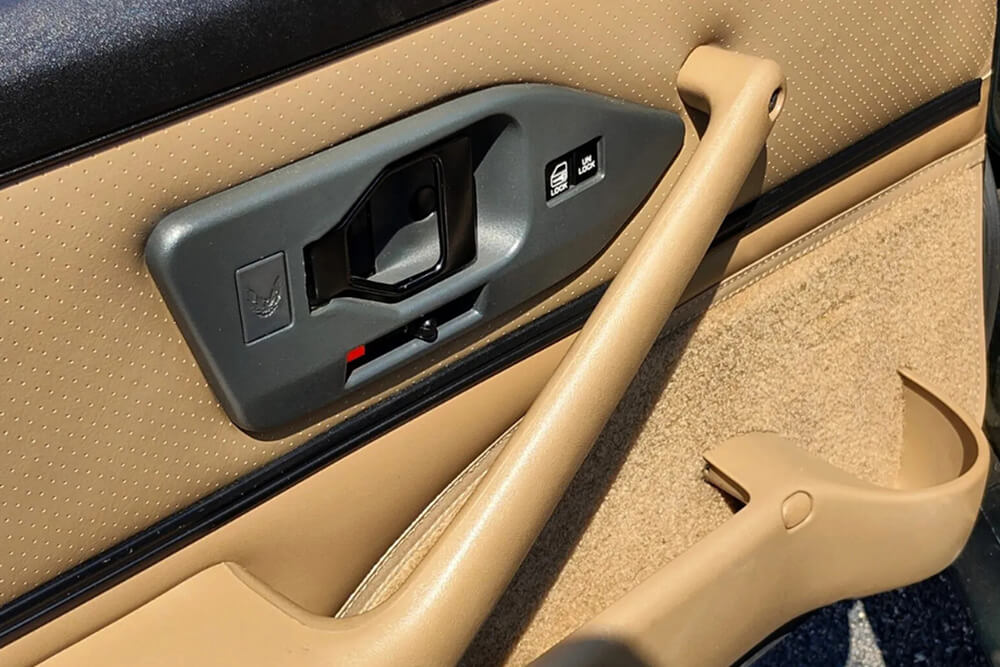 1987-1992 Firebird Door Handle Trim Bezels, Pair