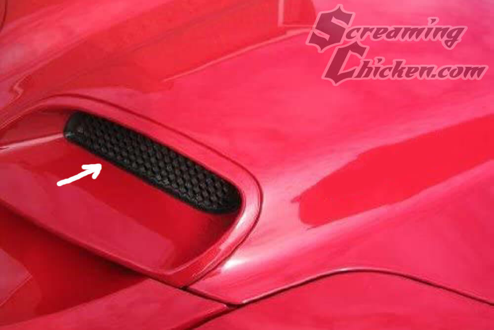 1998-2002 Trans Am WS6 Ram Air Hood Screens, Pair- installed