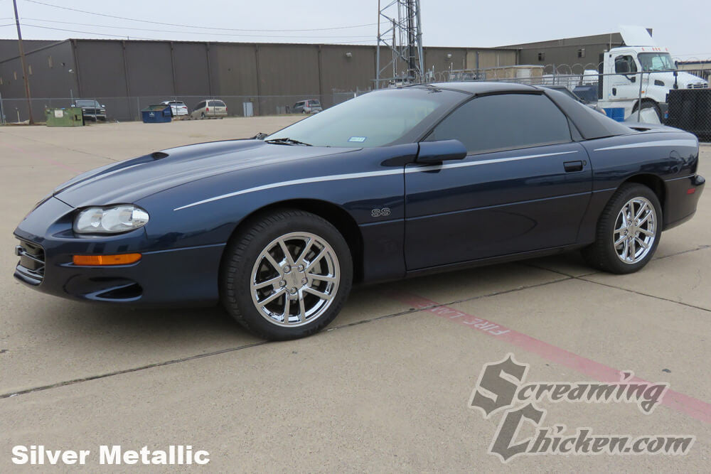1993-2002 Camaro Javelin Stripes- silver metallic 1