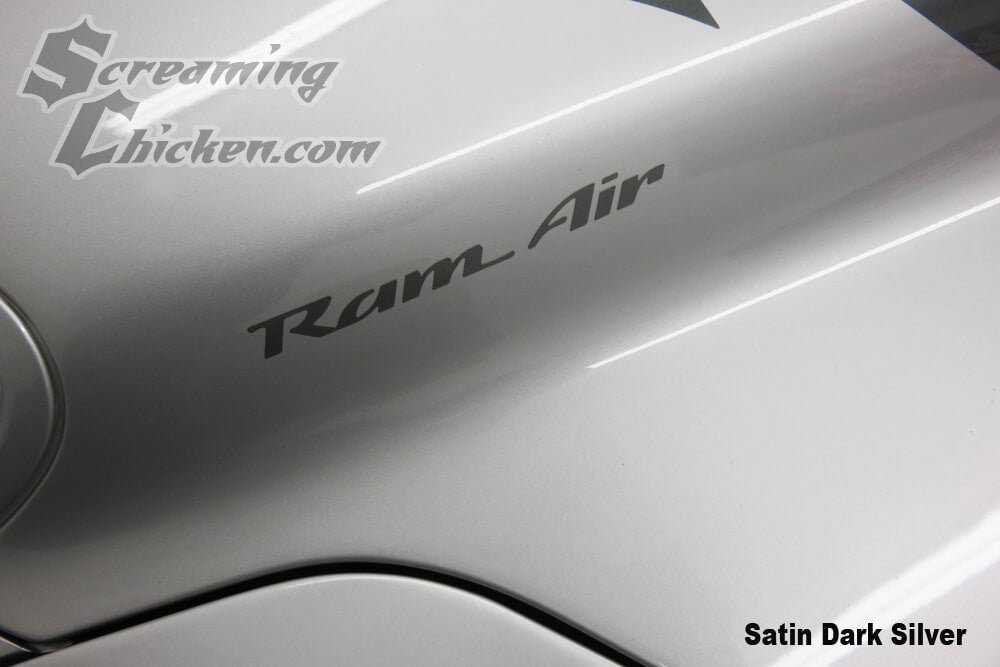 1993-2002 Trans Am Ram Air Hood Lettering- stain dark silver