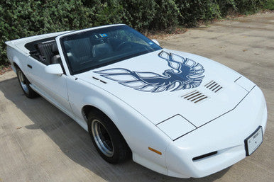 1982-92 Vinyl Graphics