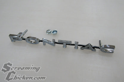 1967-69 Firebird Pontiac Grill Emblem