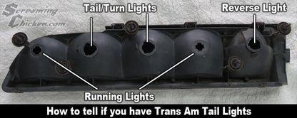 1979-81 Trans Am LED Exterior Lighting Kit
