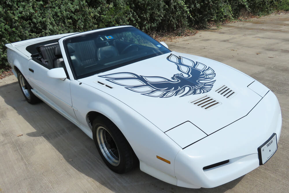 1985-1992 Trans Am 70's Style Hood Bird
