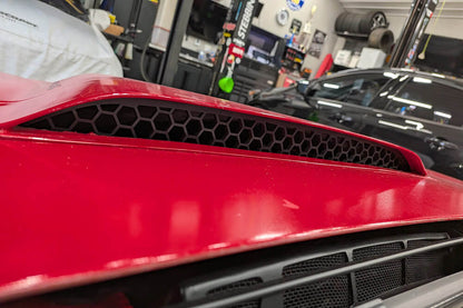 1982-92 Firebird Trans Am Turbo Hood Honeycomb Insert
