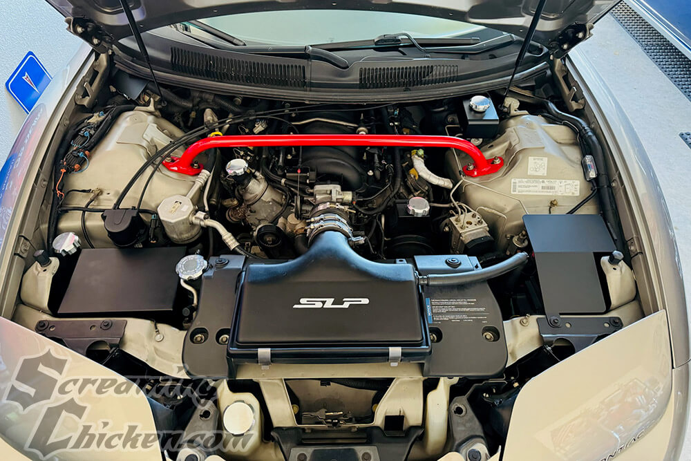 1993-2002 Camaro/Firebird BMR Shock Tower Brace, (V8 Excluding 1993-1997 SS)