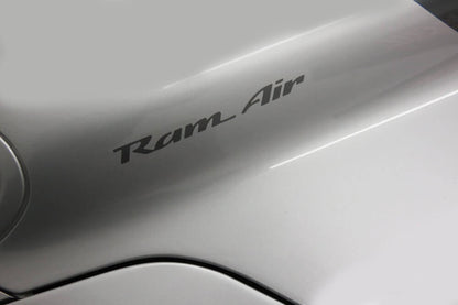 1993-2002 Trans Am Ram Air Hood Lettering