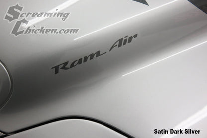 1993-2002 Trans Am Ram Air Hood Lettering- stain dark silver