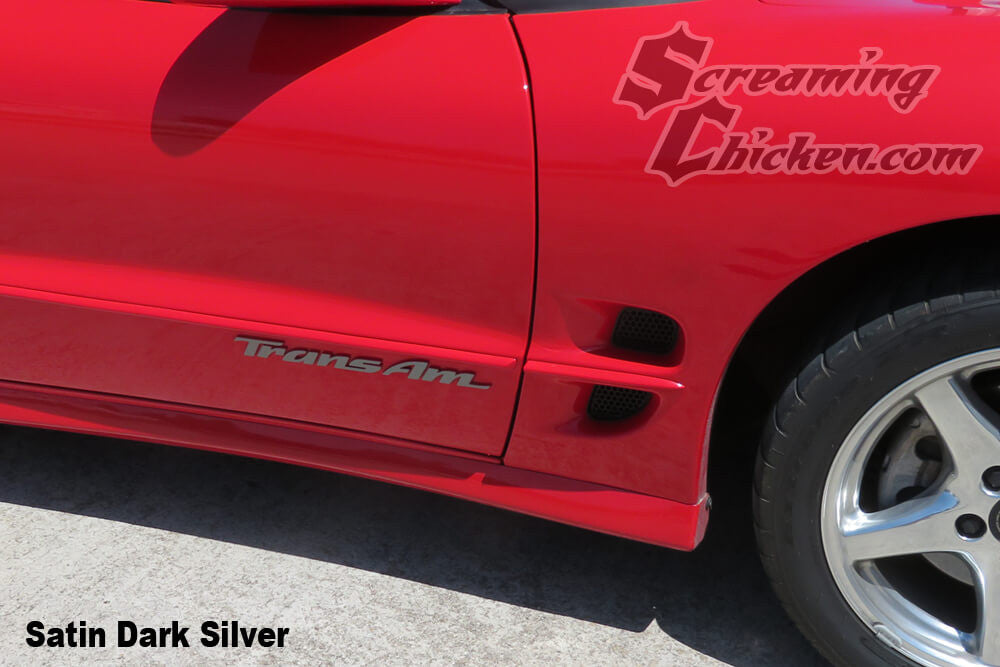 1993-2002 Trans Am Lettering Overlays for Door Emblems- installed